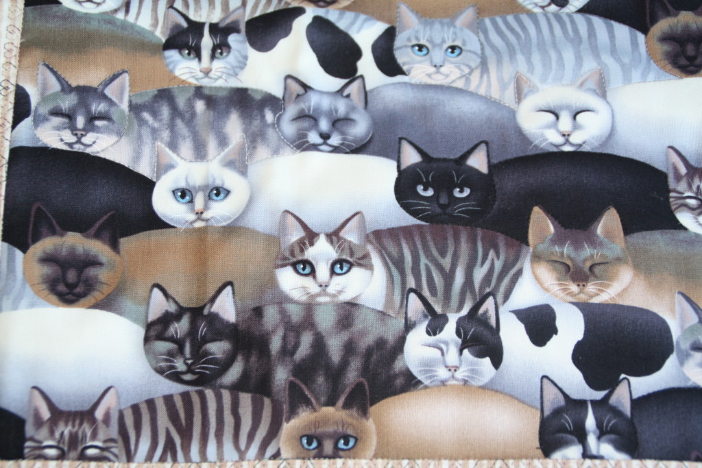 Katzenset2